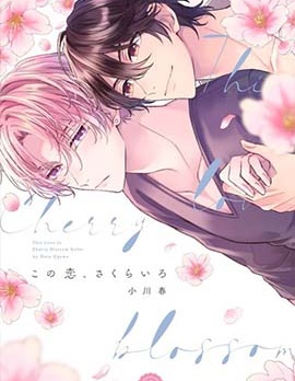 这份恋情、樱花色