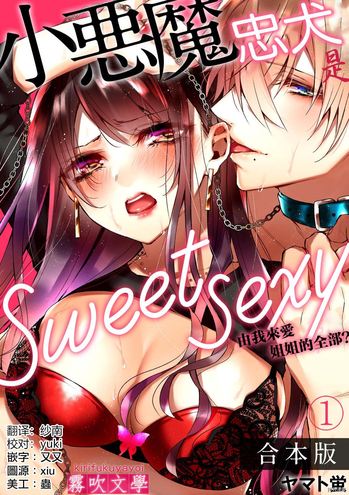 《小恶魔忠犬是sweet sexy~由我来爱姐姐的全部？》第1话第1页