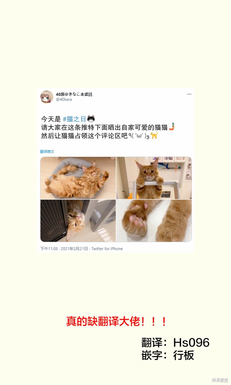 《我家的猫猫是可爱的女孩子！》杂图10第1页