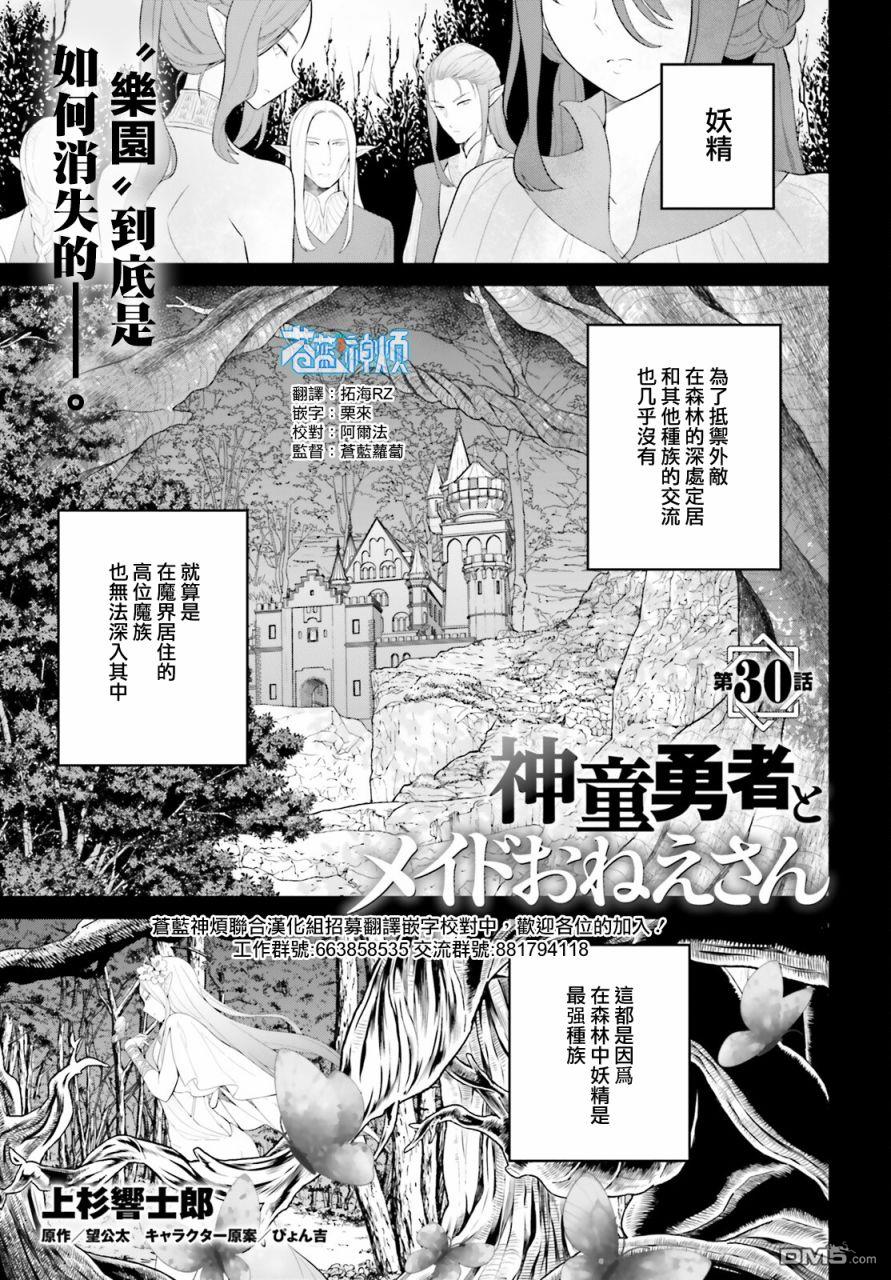 《神童勇者和女仆姐姐》第30话第1页