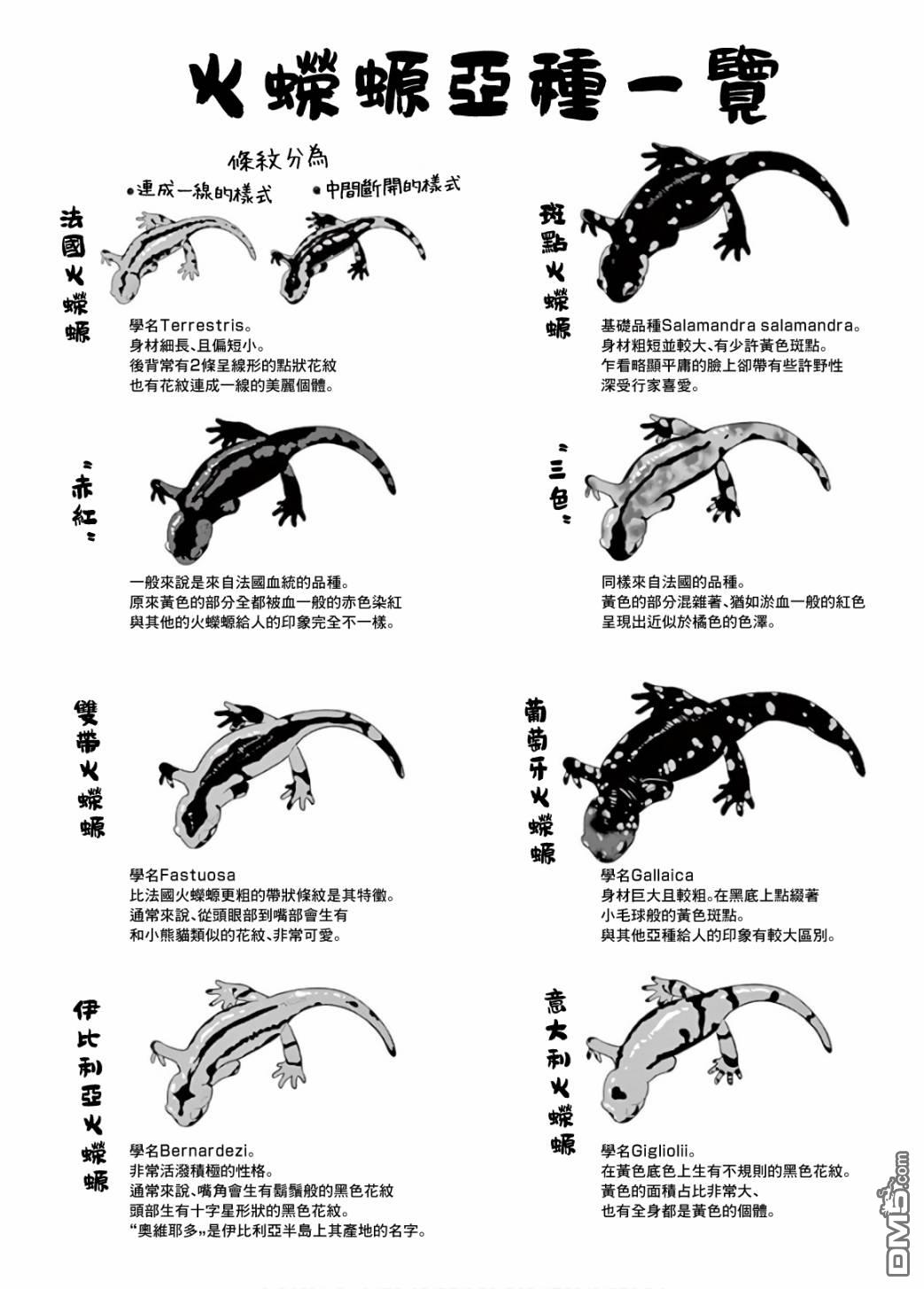 下一页图片