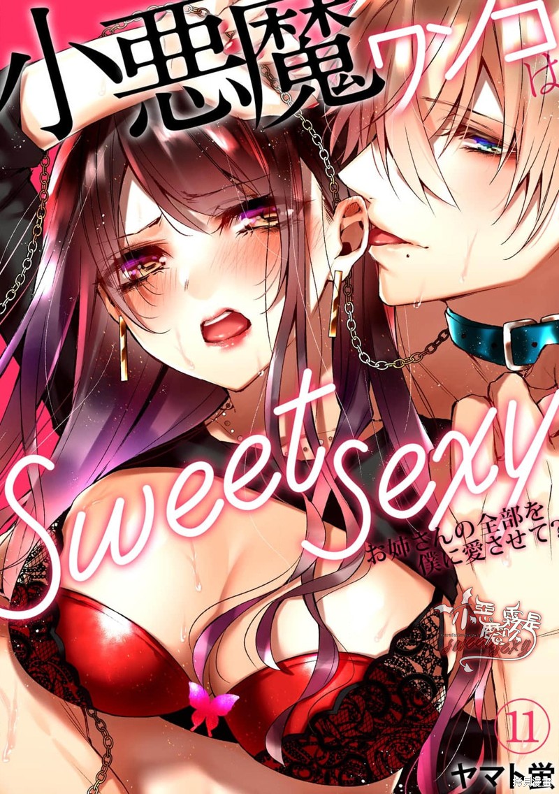 《小恶魔忠犬是sweet sexy~由我来爱姐姐的全部？》番外1第1页