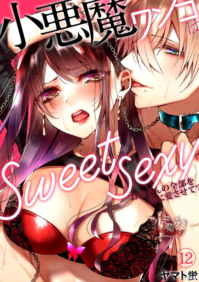 《小恶魔忠犬是sweet sexy~由我来爱姐姐的全部？》番外2第1页