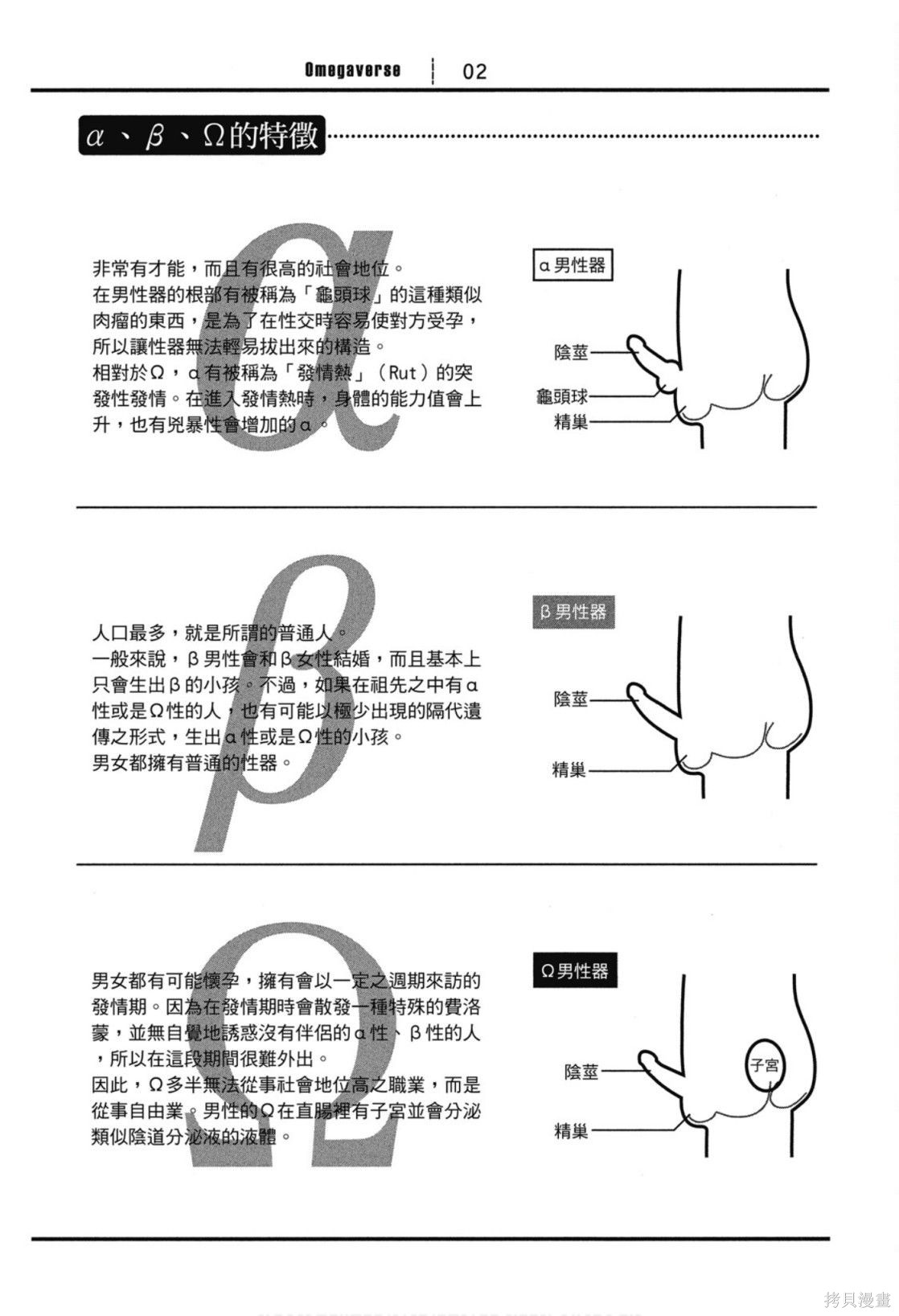 下一页图片