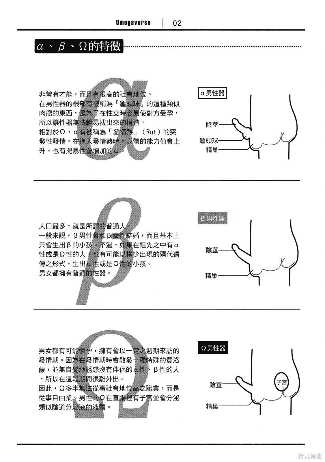 下一页图片