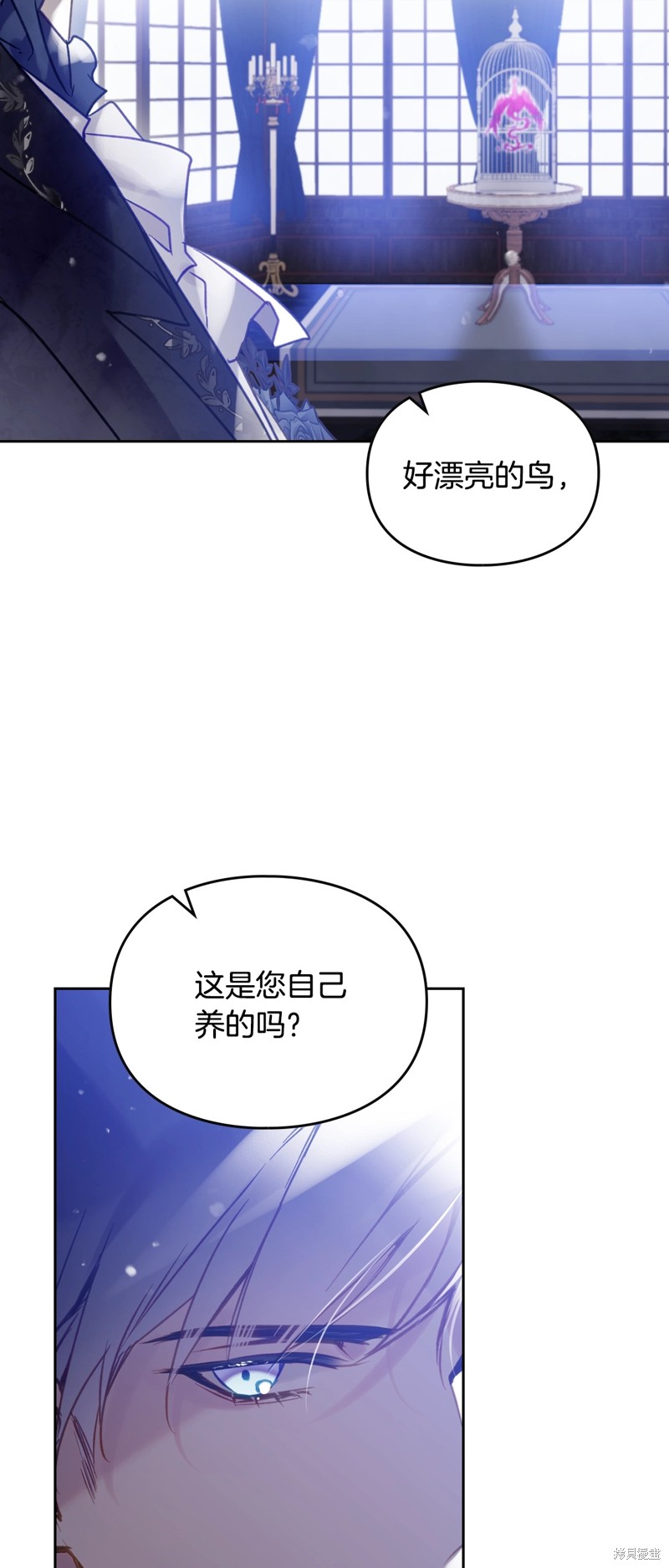 下一页图片