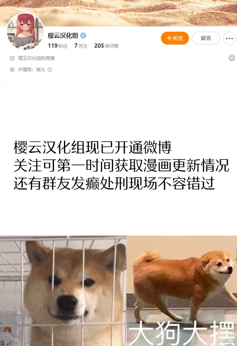 下一页图片