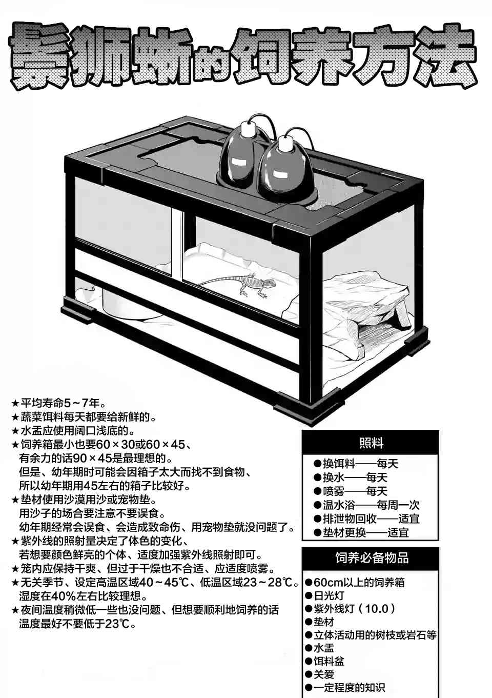 下一页图片