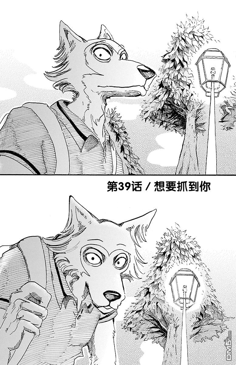 《BEASTARS》第39话 想要抓到你第1页