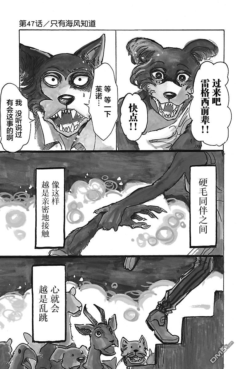 《BEASTARS》第47话 只有海风知道第1页