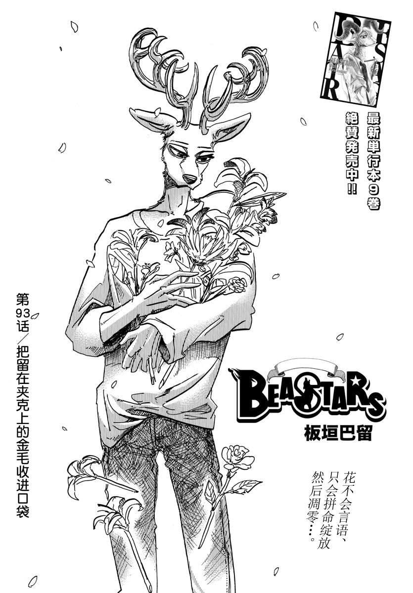 《BEASTARS》第93话 吧留在夹克上的金毛收进口袋第1页