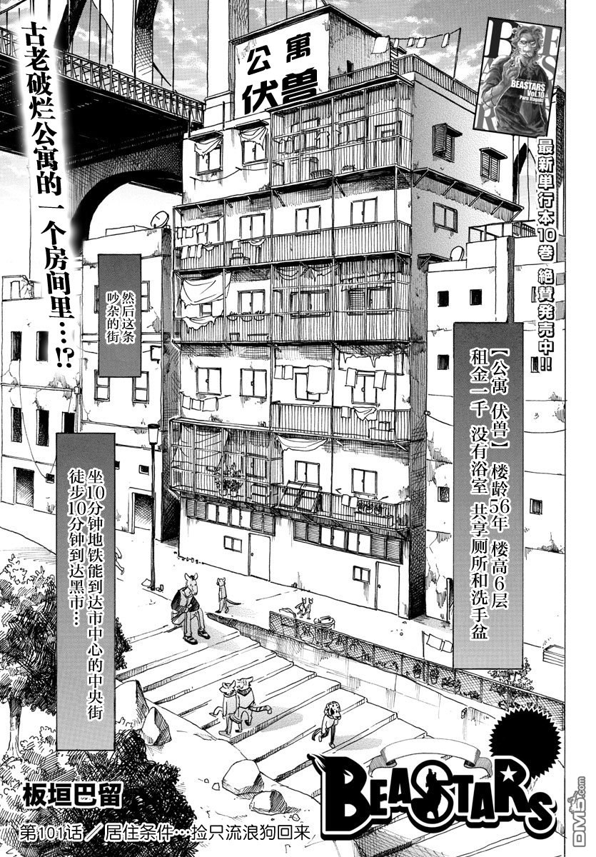 《BEASTARS》第101话 居住条件……捡只流浪狗话来第1页