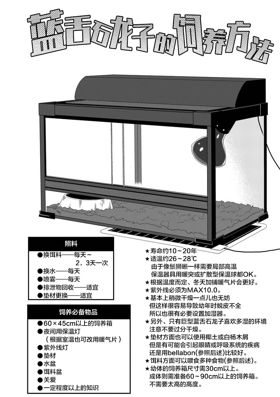 下一页图片