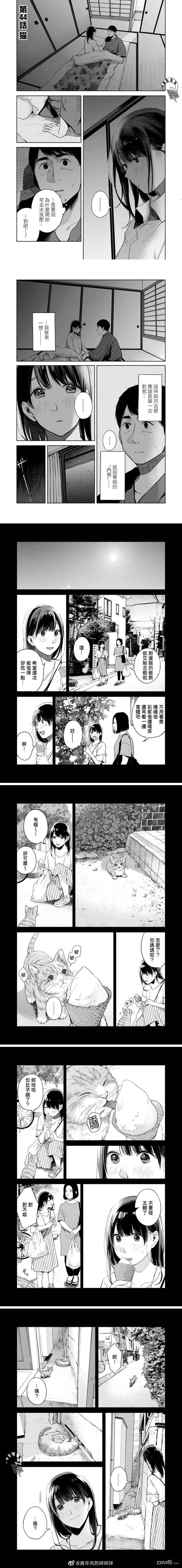 《女儿的朋友》第44话 猫第1页