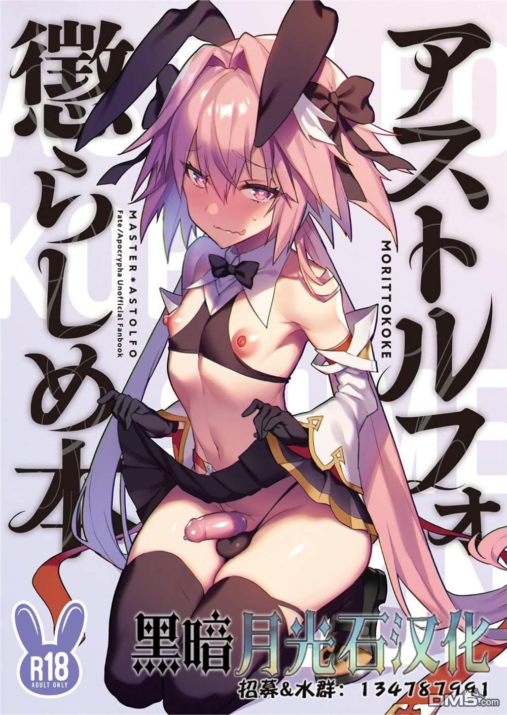 《Fate x 月姬本子合集》Astolfo Korashime Hon第1页