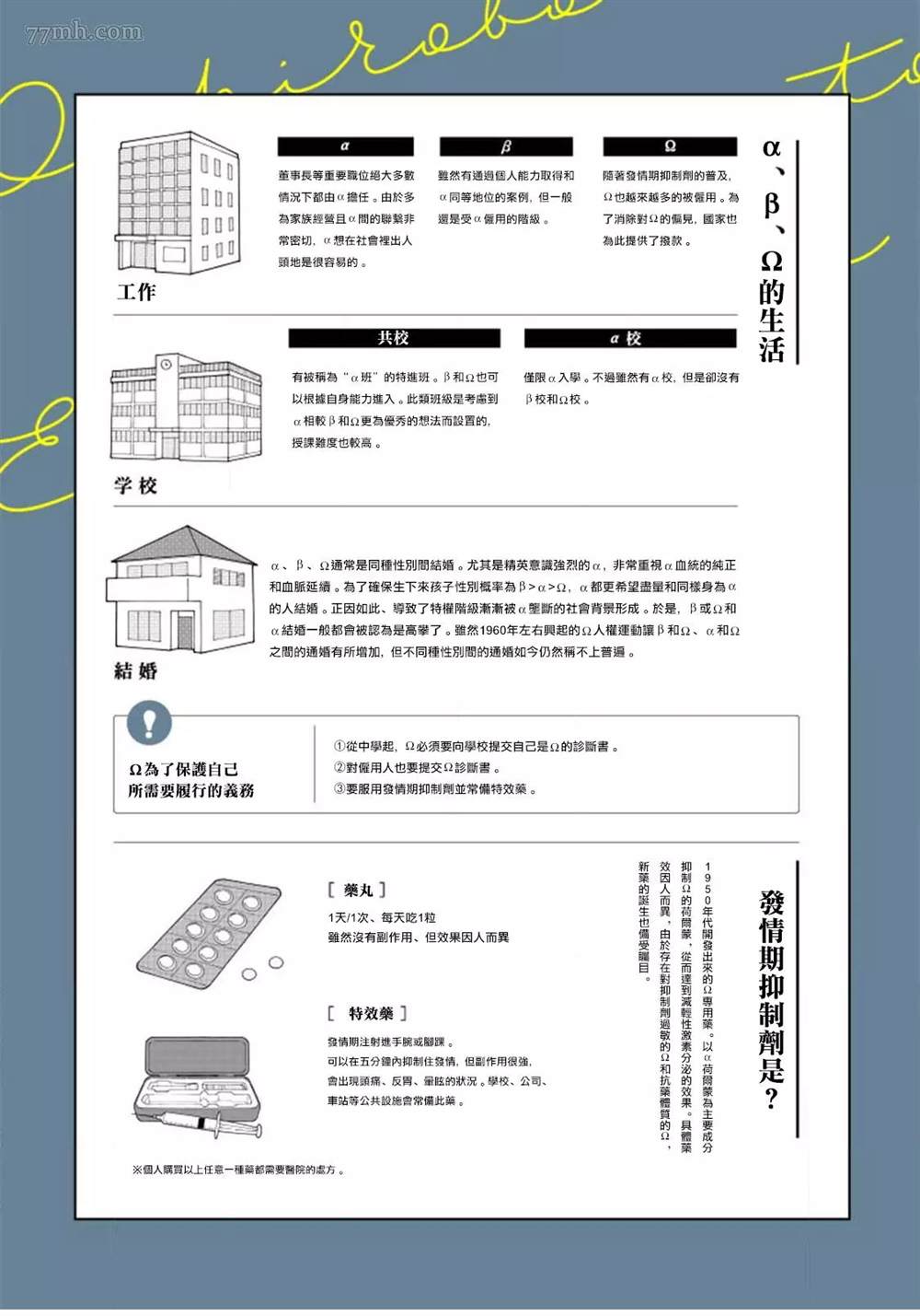 下一页图片