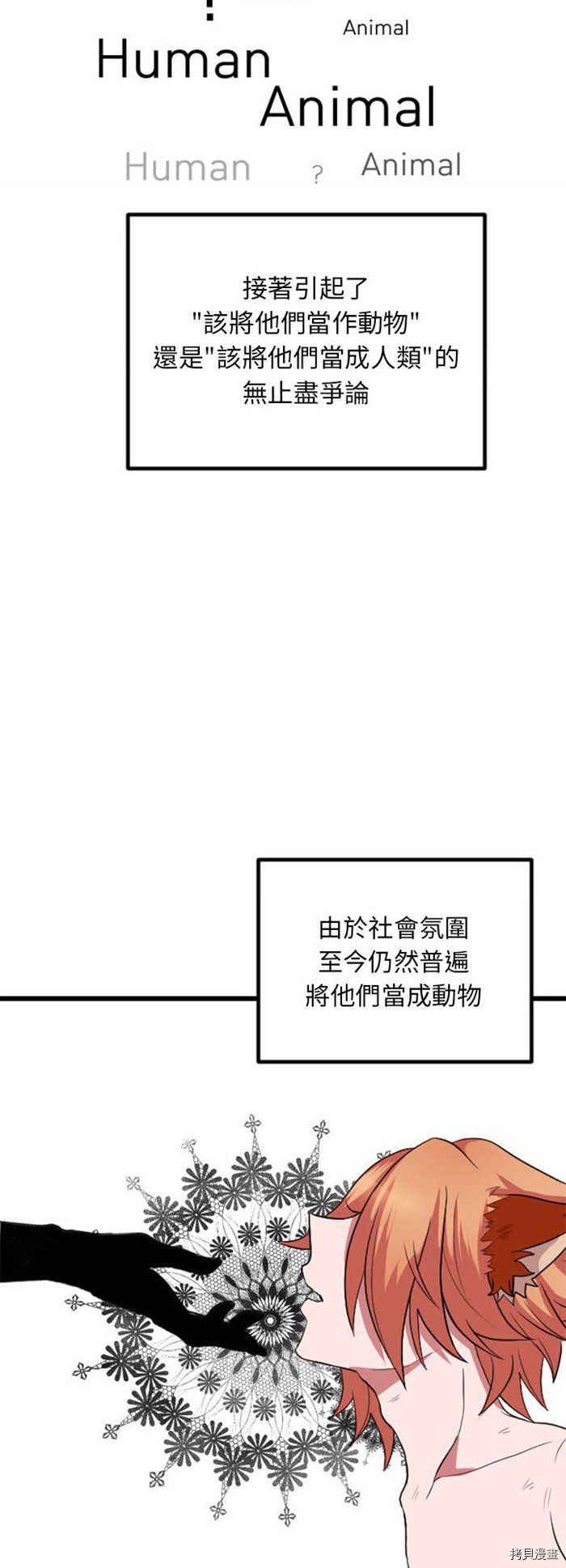 下一页图片