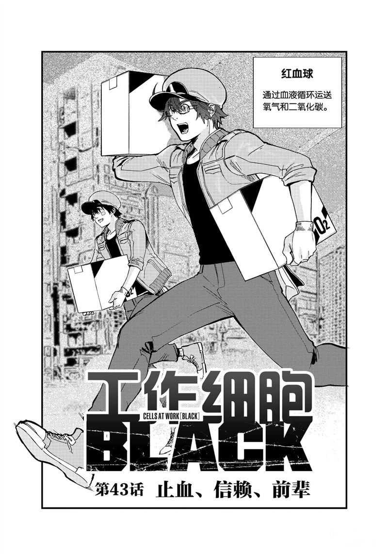 《工作细胞black》第43话 试看版第1页